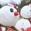 クリスマスの名残／ゆいの花公園