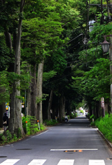 本土寺／令和３年５月２９日