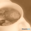 Minnie's pasta
