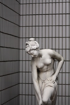 次25.5お願いします