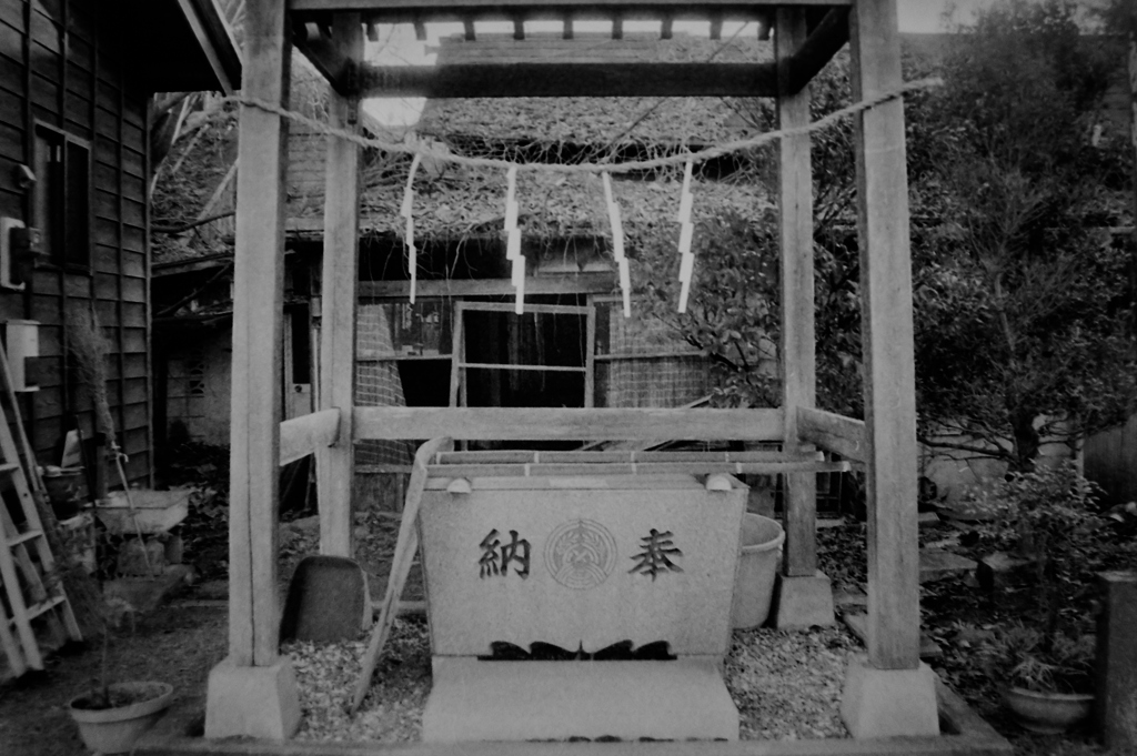 三巡