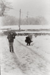 花より雪団子