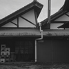 northlight shed