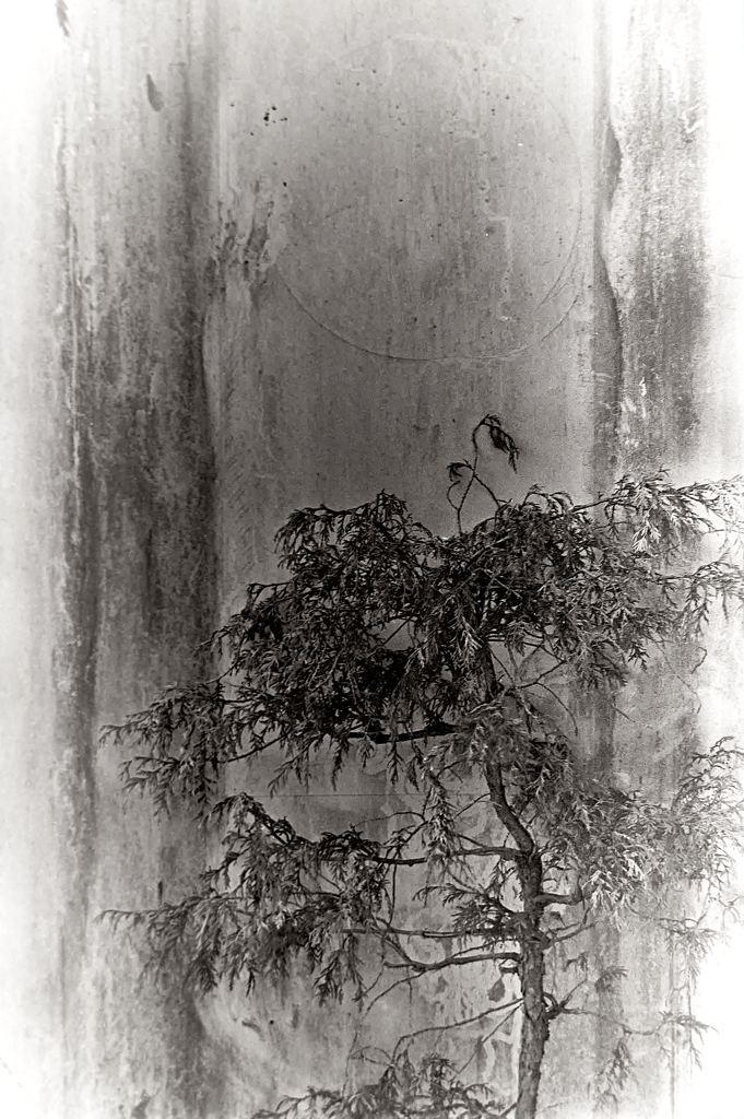 India ink