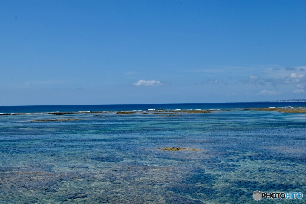 夏の海