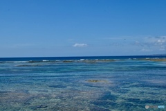 夏の海