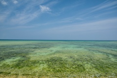 爽やかな海