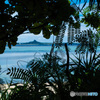 木陰から望む伊江島