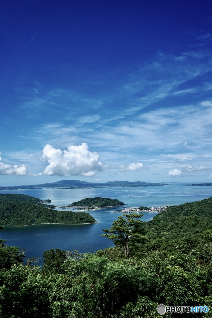 夏の海