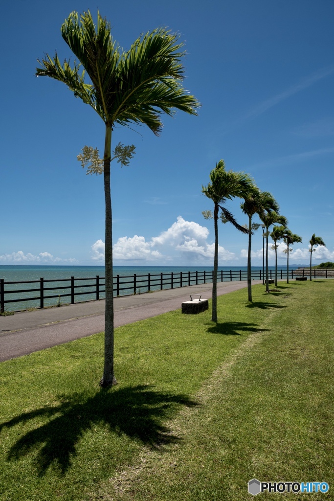 夏の風景