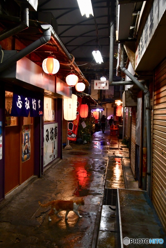 雨の商店街