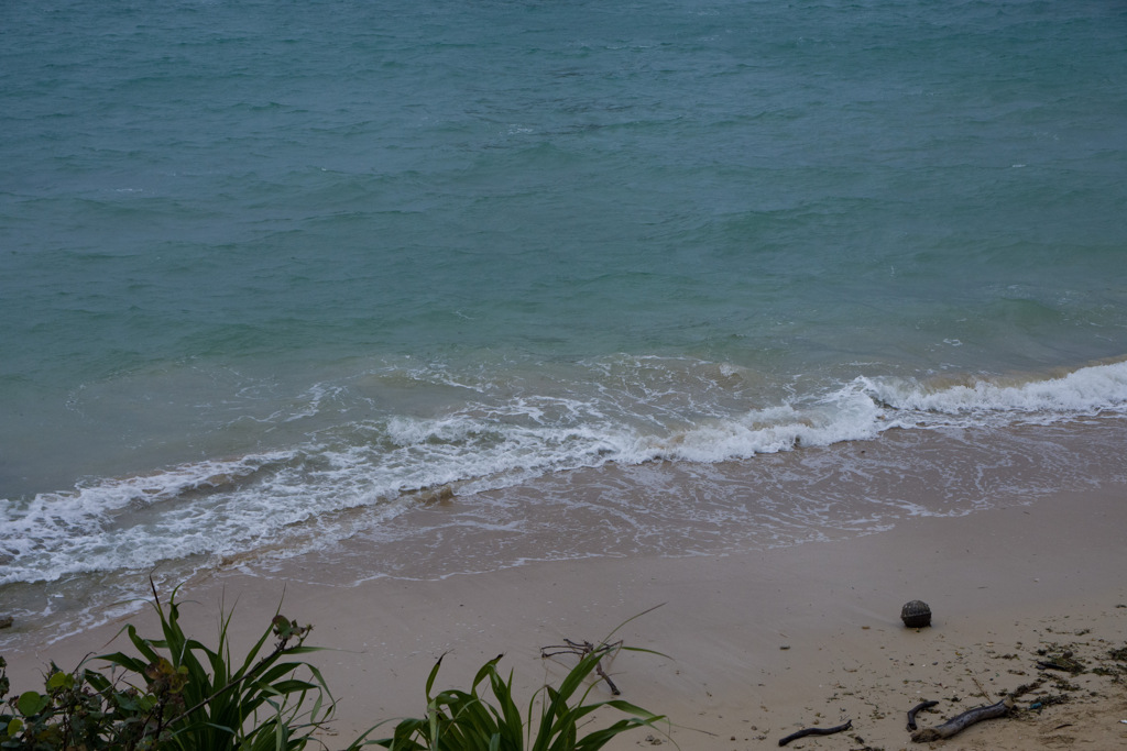 winter beach