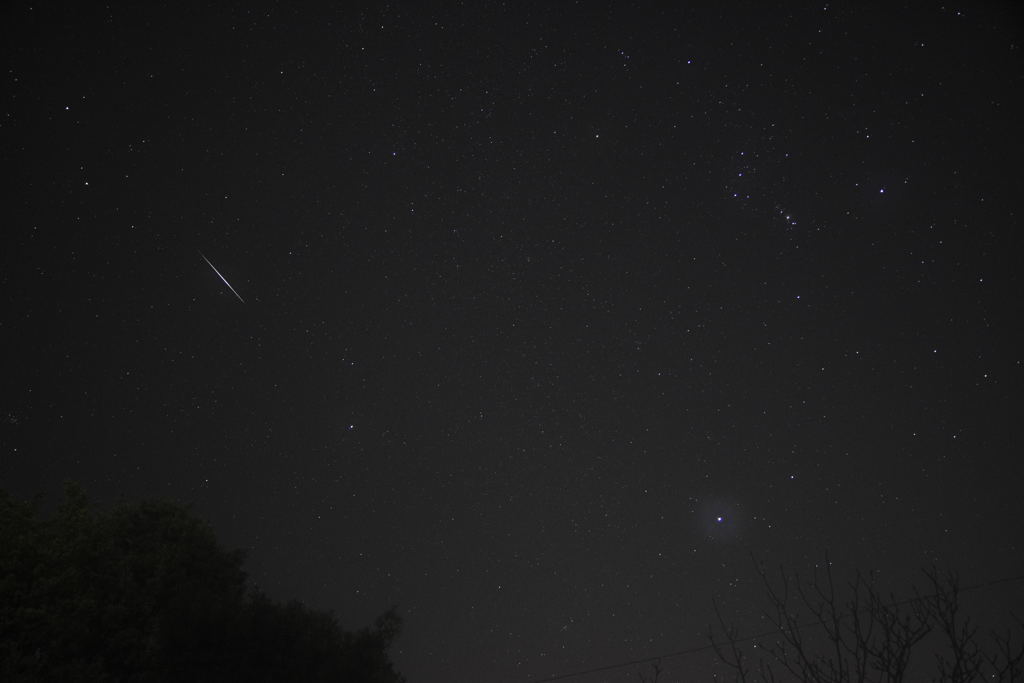 ふたご座流星群。