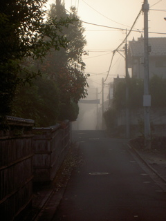 靄の朝