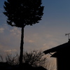 夕暮れ