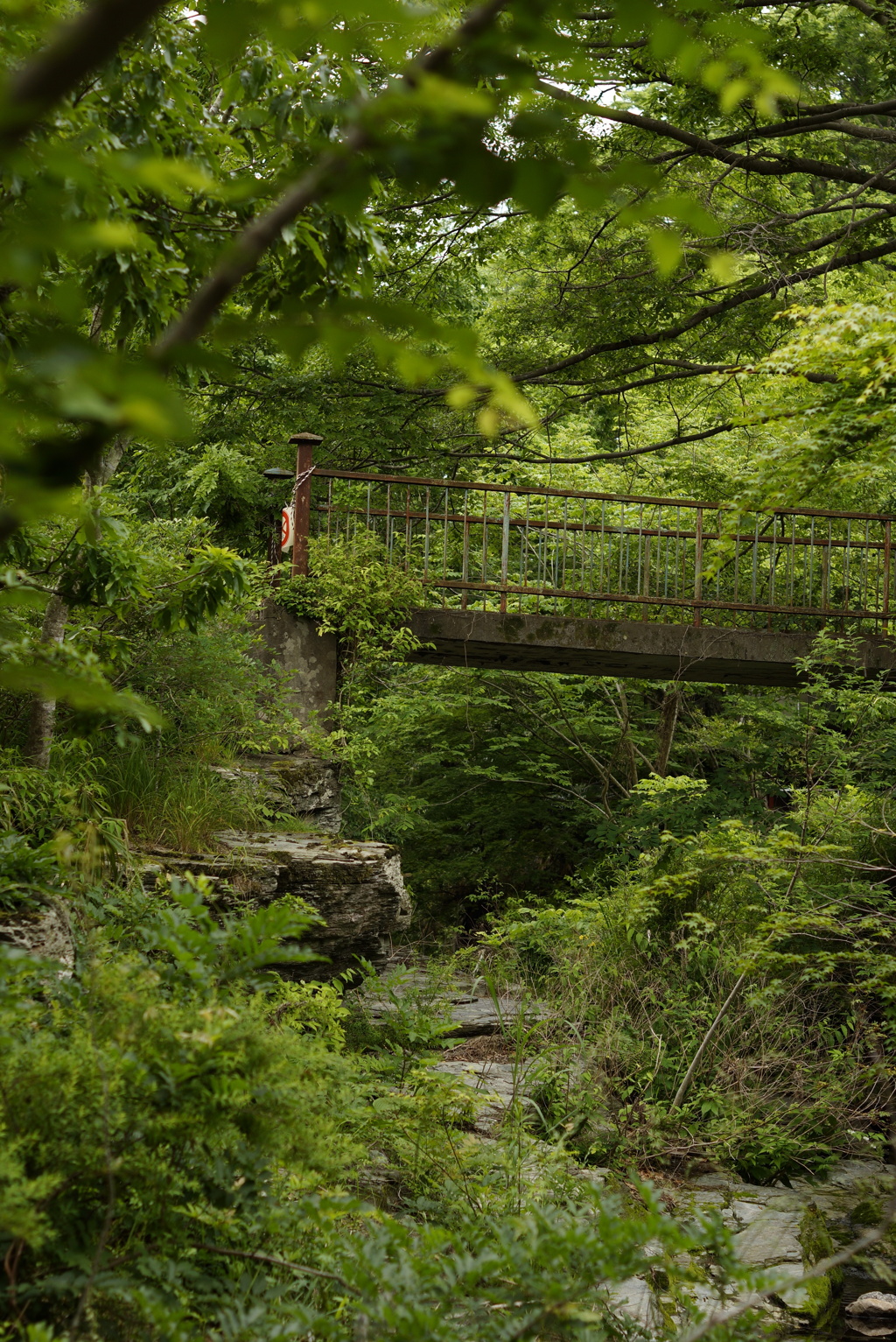 廃橋