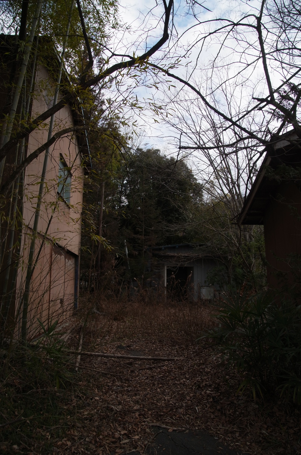 廃れた建物