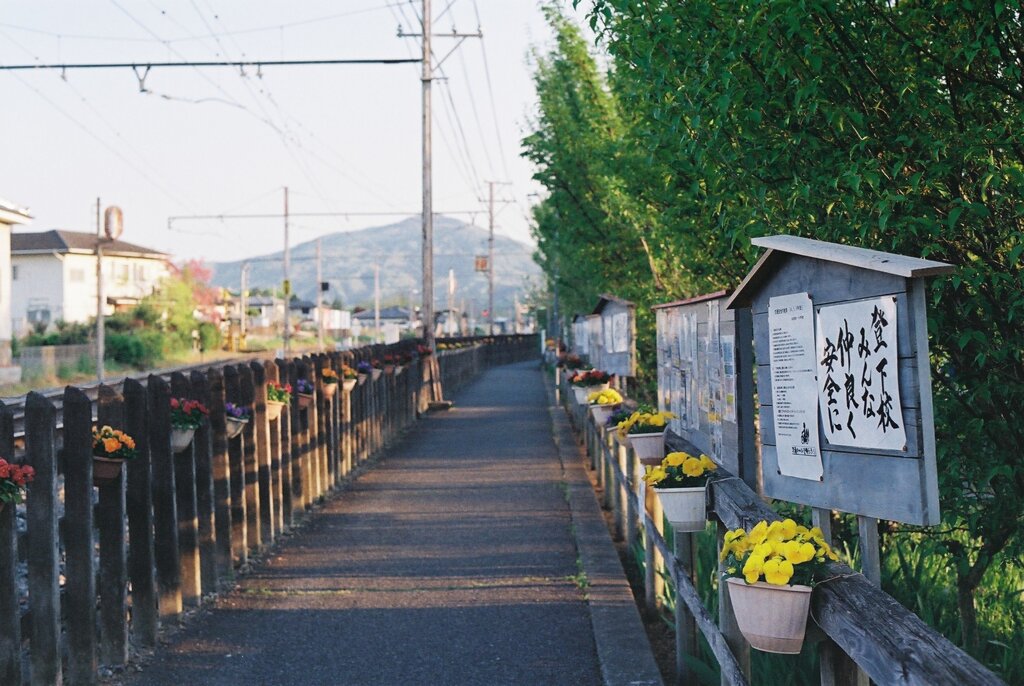 通学路