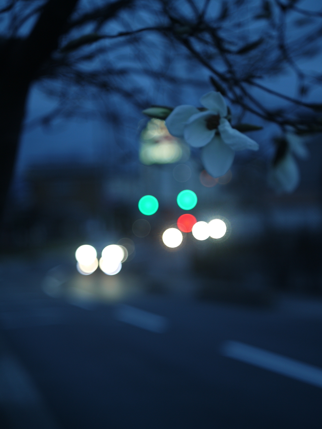 まるボケ