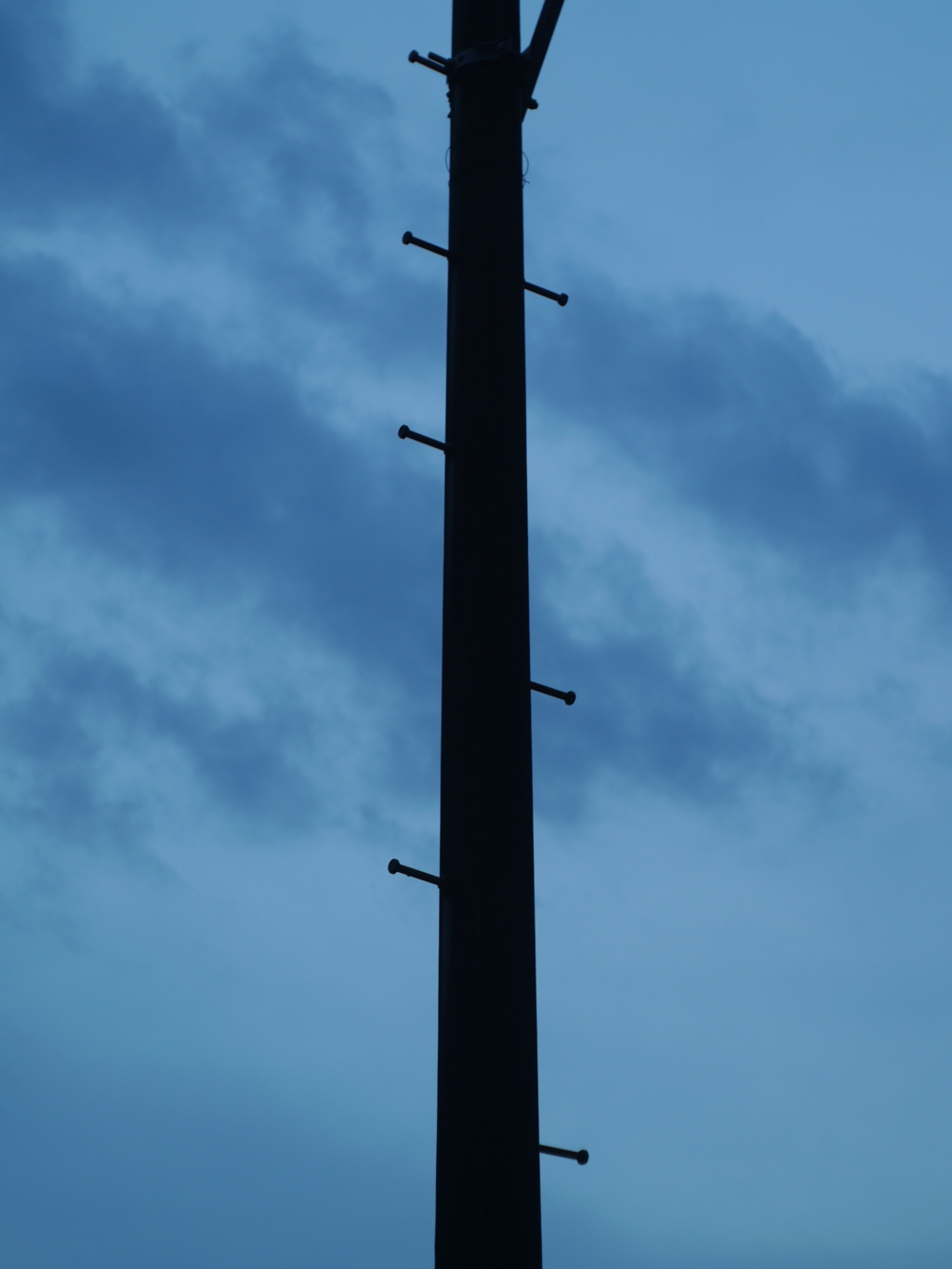 電柱