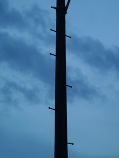 電柱