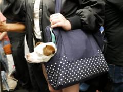 1AM 帰りの電車
