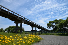 蓬莱橋(橋脚下より)
