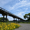 蓬莱橋(橋脚下より)