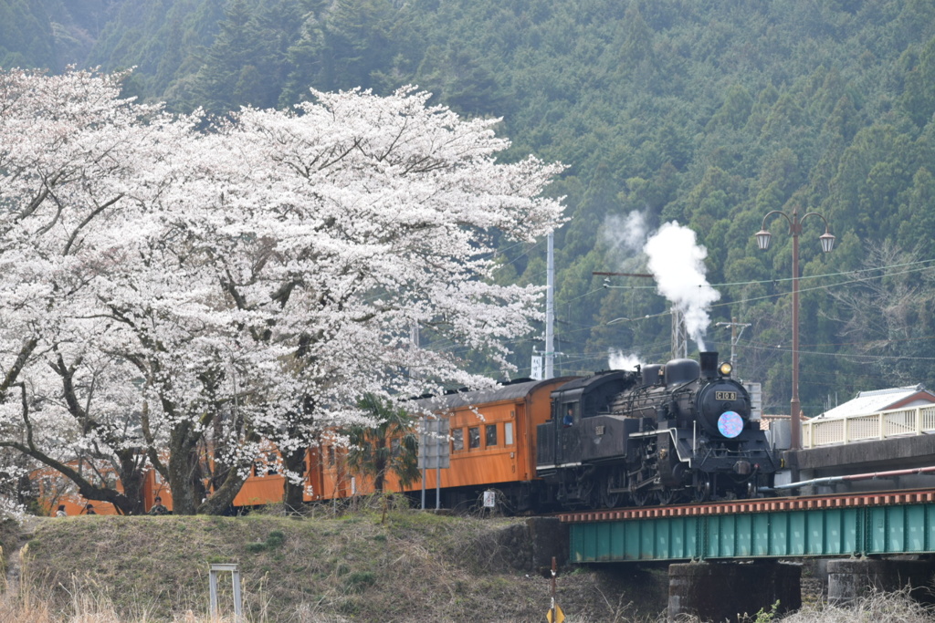 家山川橋梁より