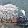 家山川橋梁より