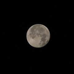 2018満月観察日記最終