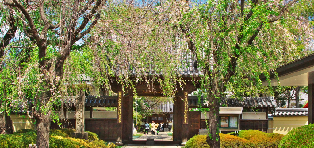 神門観賞