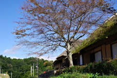 八塔寺ふるさと村