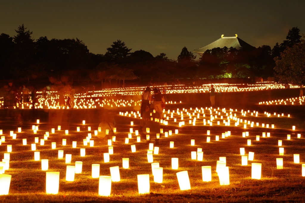 なら燈花会