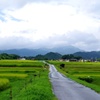 貝田の棚田と大山