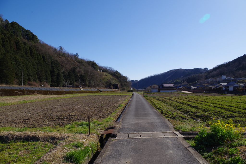 平福