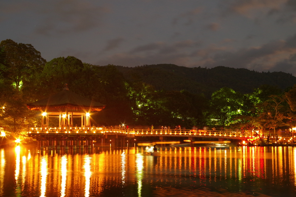 浮見堂 燈花会