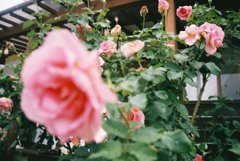 IMG_7690