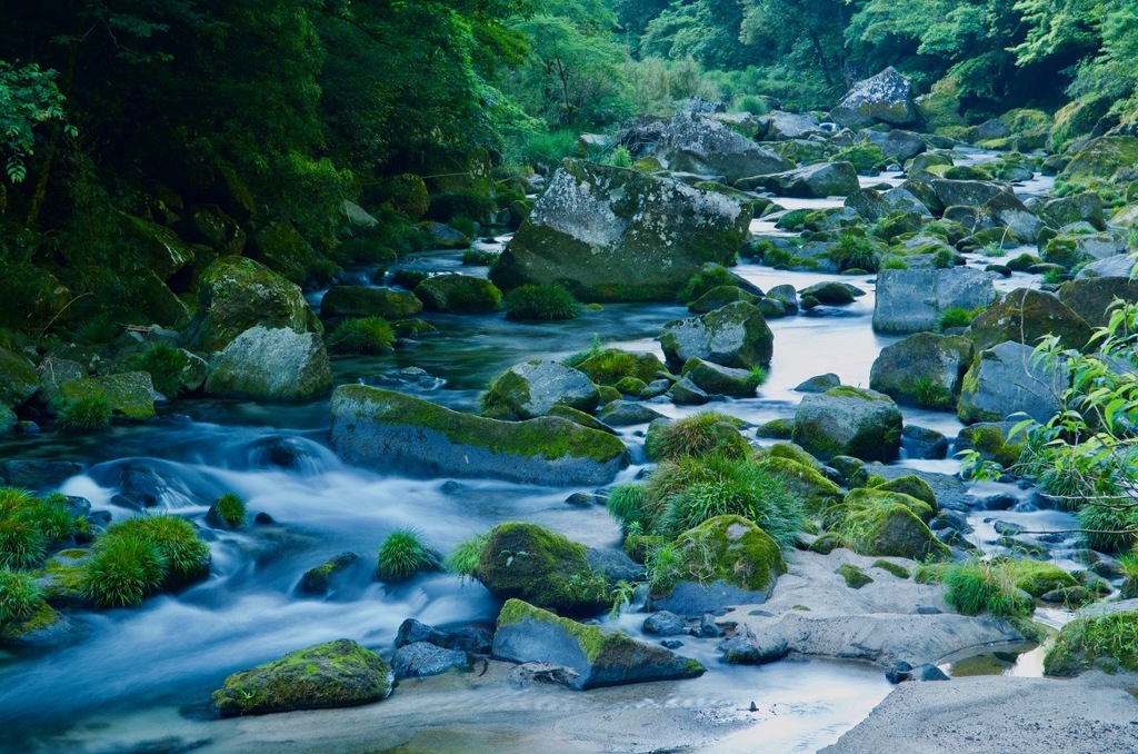 山の奥の緑が蒸すところ