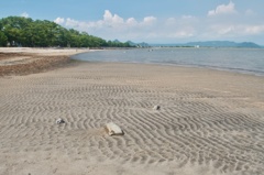 海岸沿い