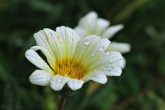 雨はいつまで続くのか