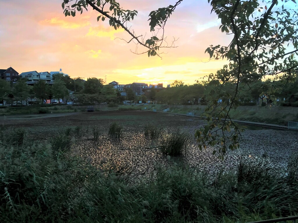 わが街の秋の夕暮れ（１）