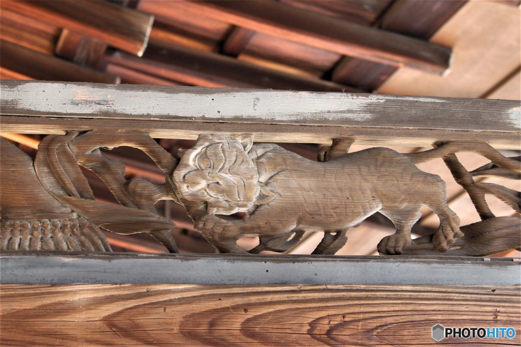 頭の上の虎　（南禅寺　方丈にて　６）
