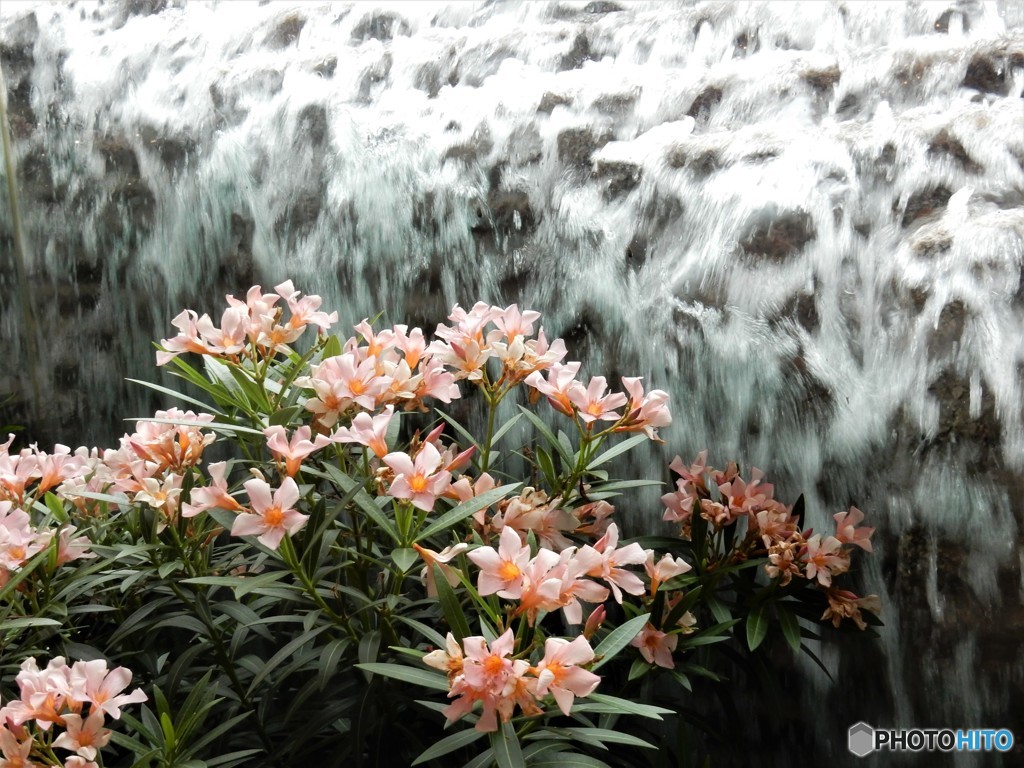 地下の滝を、花とともに眺めて。