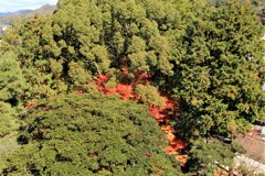 浸透する赤　（南禅寺　三門近辺　３）