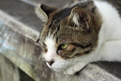 視線の先は