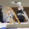 笑顔のチンアナゴ達