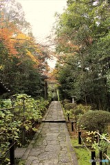 晩秋の風が吹く　(南禅寺　金地院にて　１）