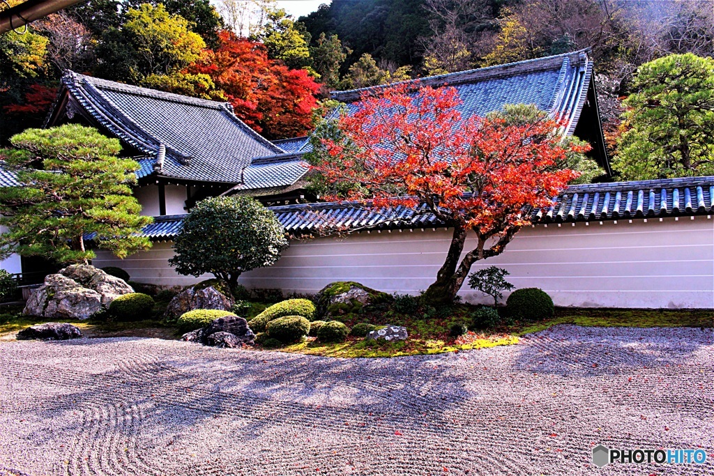 ここから連れ出してよ。（南禅寺　方丈にて　２）