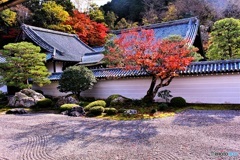 ここから連れ出してよ。（南禅寺　方丈にて　２）